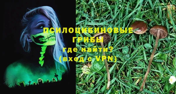 тгк Абинск